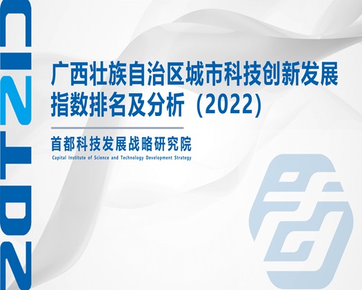 有日本美女操屄【成果发布】广西壮族自治区城市科技创新发展指数排名及分析（2022）